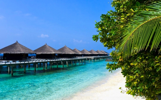 Мальдивы. Furaveri Island Resort 5* Об отеле и стоимость на туры в ноябре.